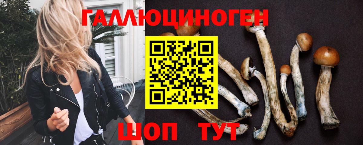 Псилоцибиновые грибы ЛСД Изобильный