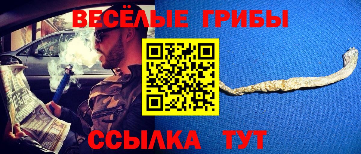 Псилоцибиновые грибы Cubensis  купить  сайты  Изобильный  Вход с VPN 